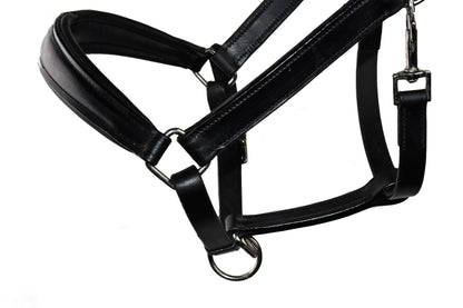 Bridle2Fit cabezada de cuadra anatómica de piel