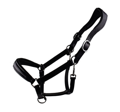 Bridle2Fit cabezada de cuadra anatómica de piel